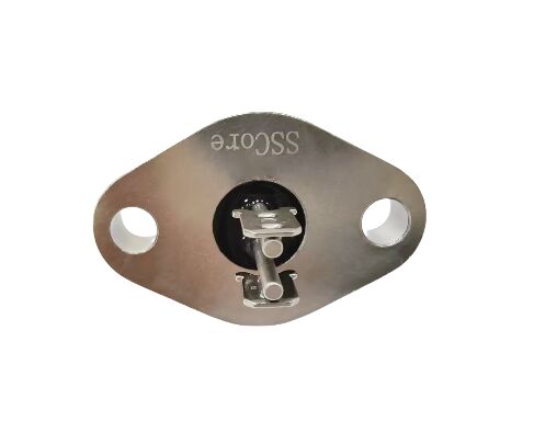 ELAN 48 Materiales de vidrio Sellos metálicos de vidrio con 2 pines Ideal para componentes electrónicos y dispositivos sensores